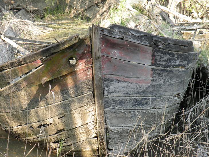 quando la natura prende il sopravvento